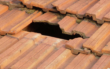 roof repair Lower Hookner, Devon