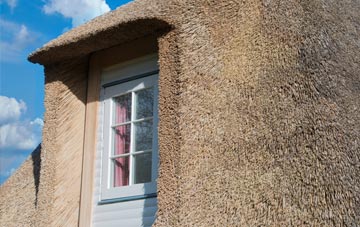 Lower Hookner thatch roof disadvantages
